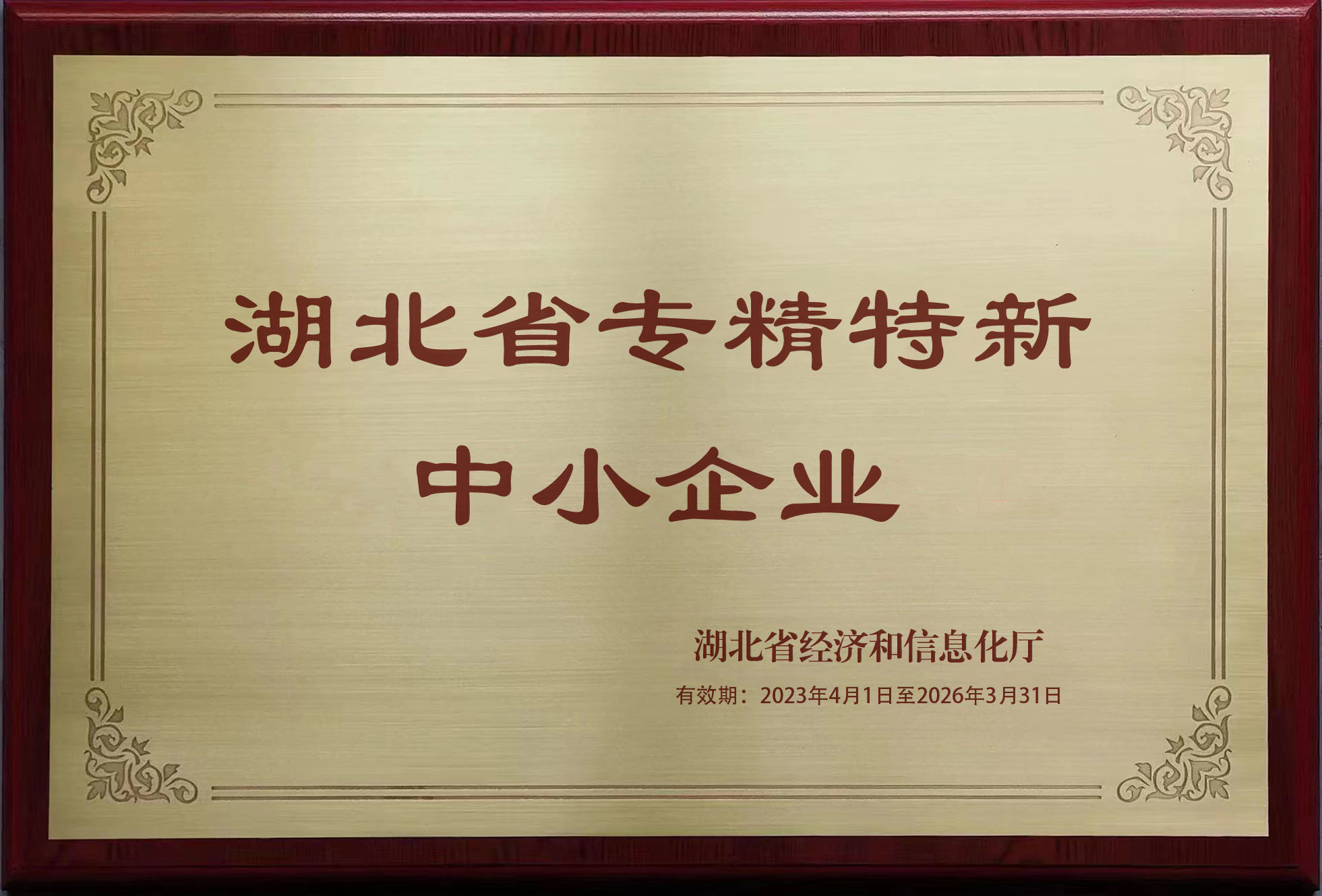 热烈祝贺泰龙互联成功入选湖北省级专精特新中小企业
